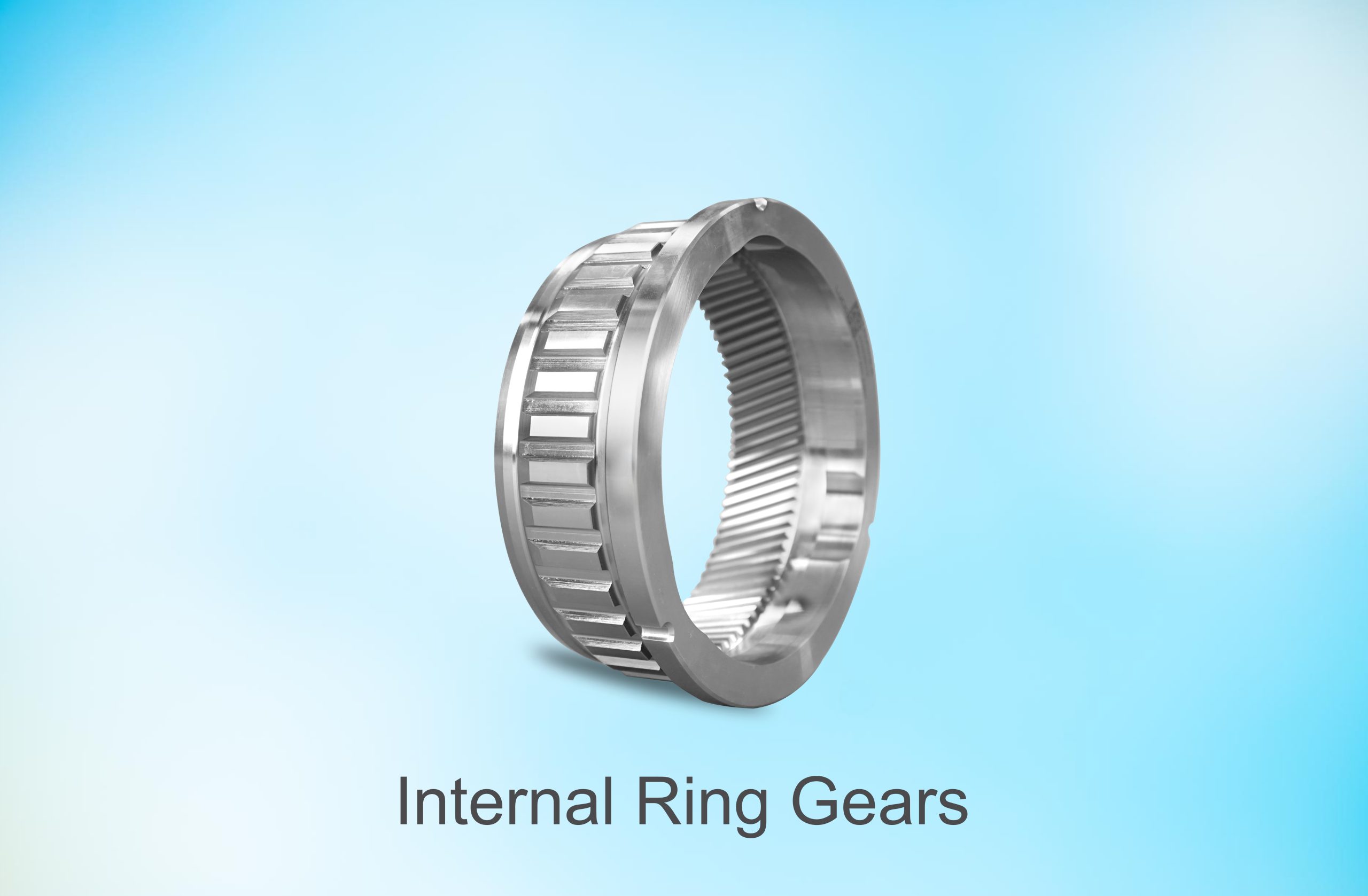 Internal Ring Gears