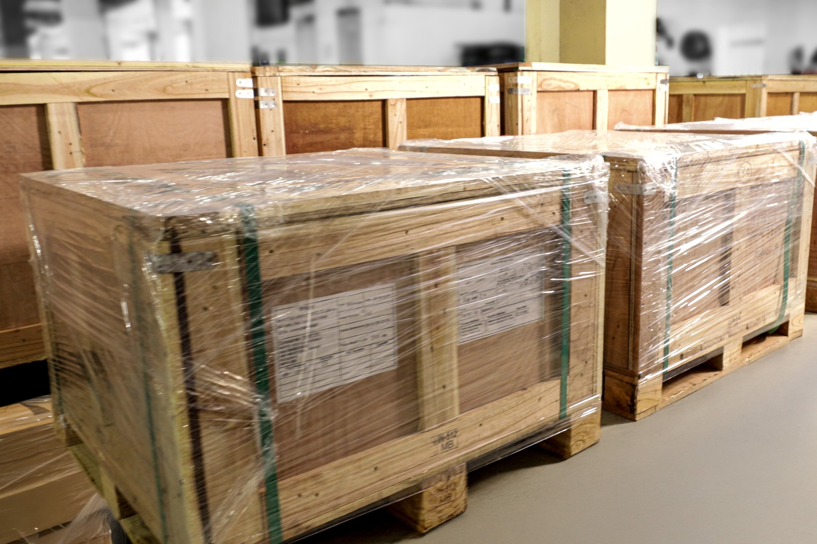 WhatsApp Image 2025-10-24 at 3.27.03 PM