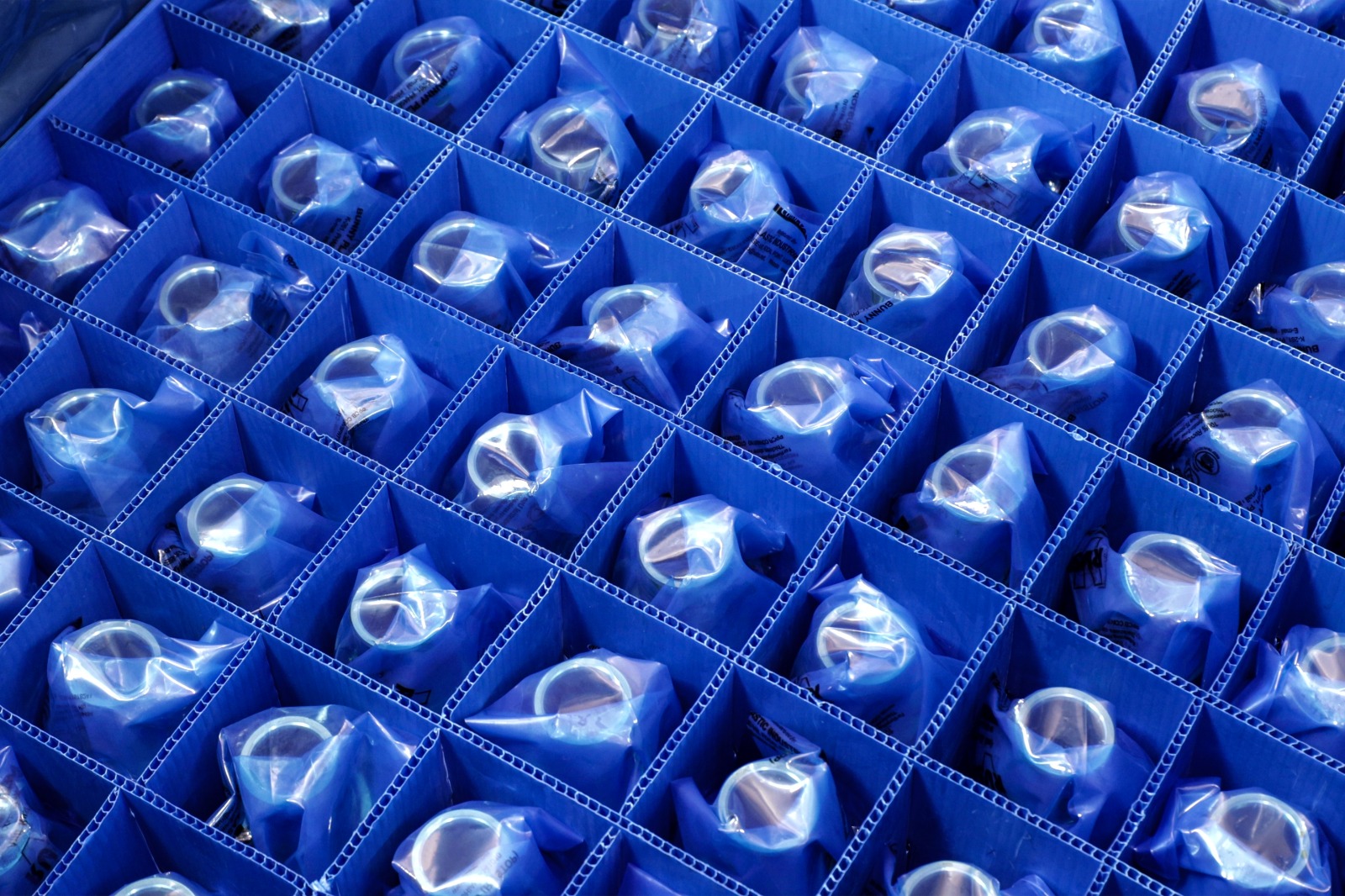 WhatsApp Image 2025-10-24 at 3.27.04 PM